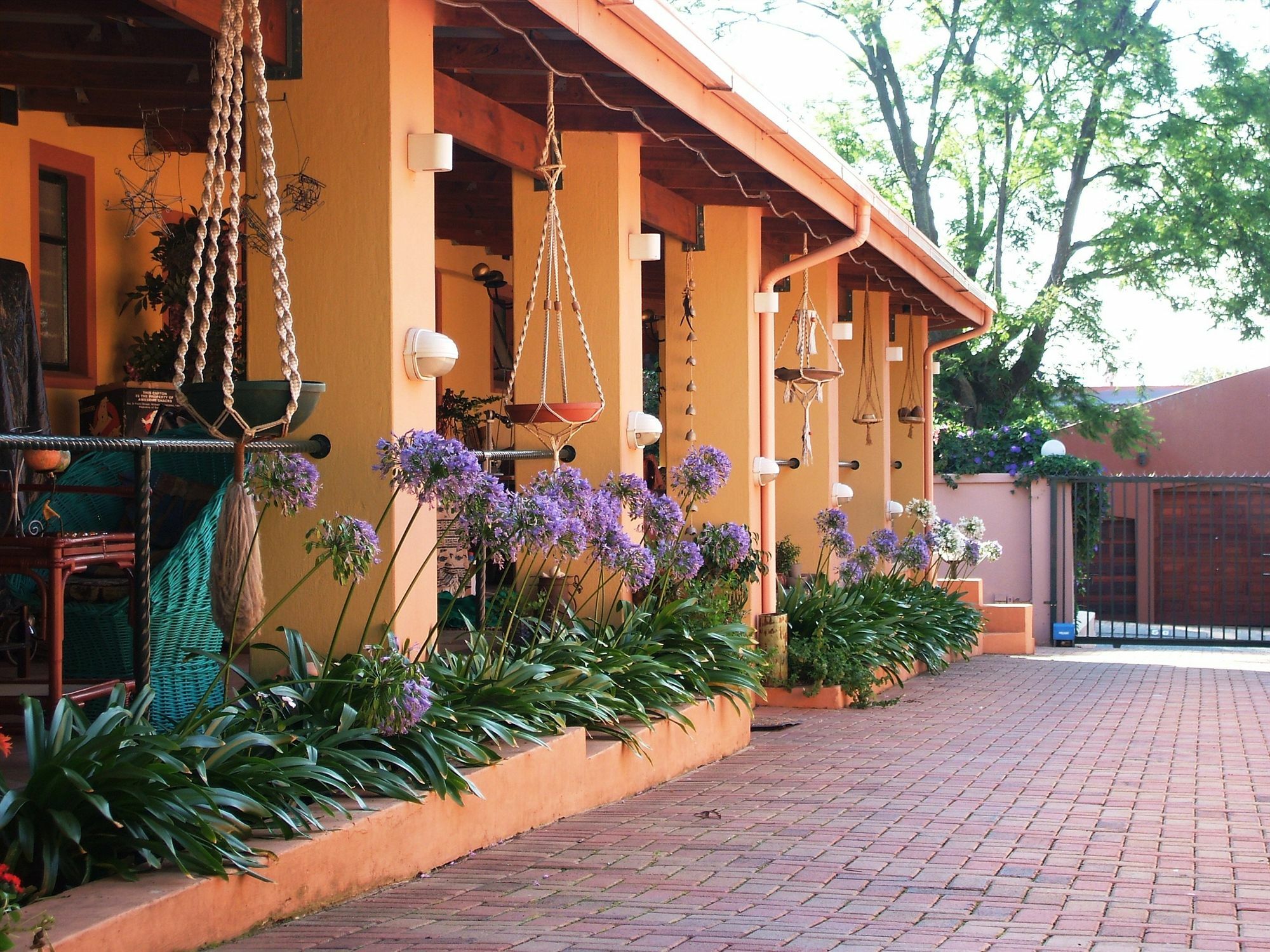 Cherry Tree Cottage B&B Linden Йоханнесбург Экстерьер фото